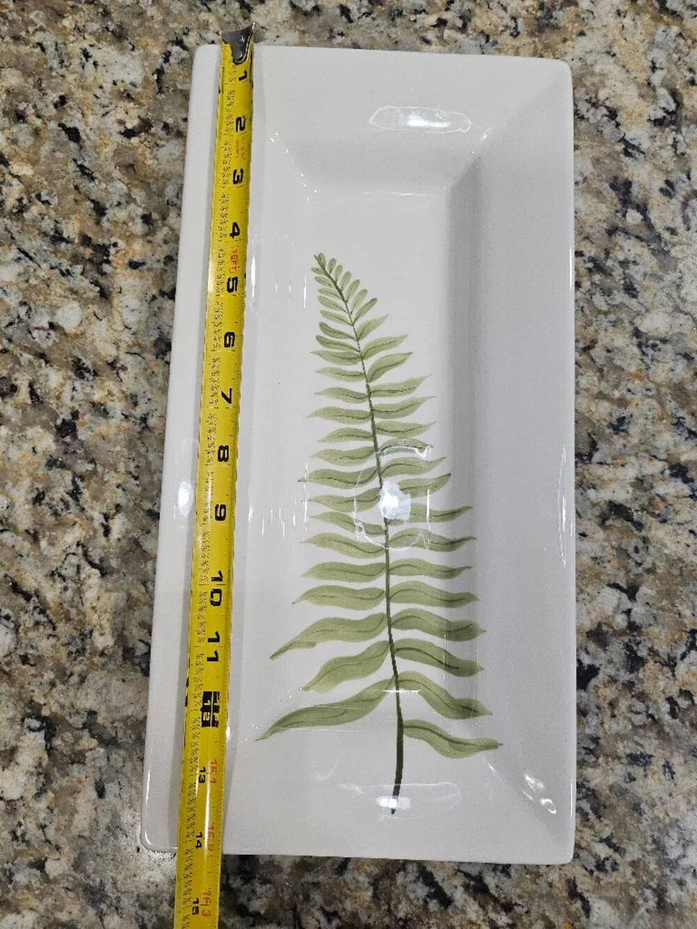 Pottery Barn FERN Botanical Long Rectangular Appetizer Serving Platter 14